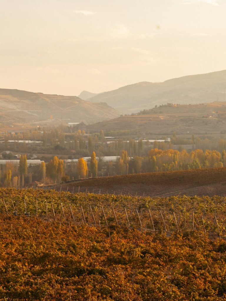 Vinkara, photographed by 56 Visuals