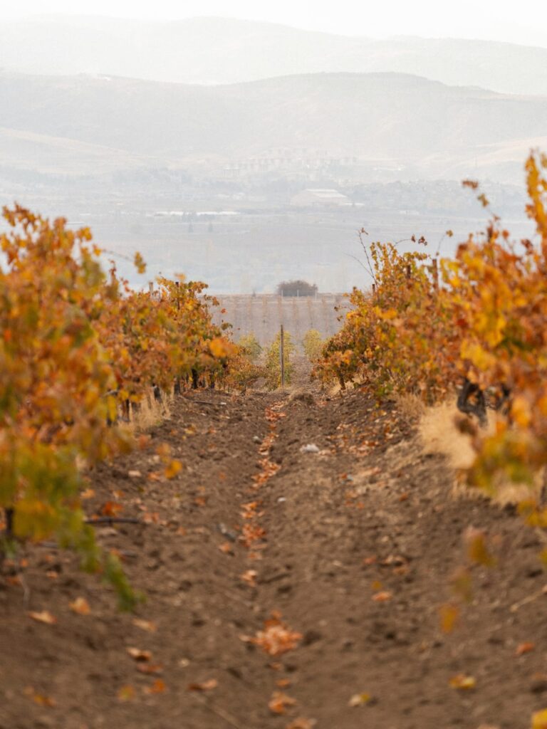 Vinkara, photographed by 56 Visuals